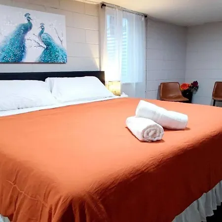 Spacious Suite Close To Downtown Indy/ King Bed Indianapolis Exterior photo